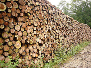 SYADEN - Bois énergie
