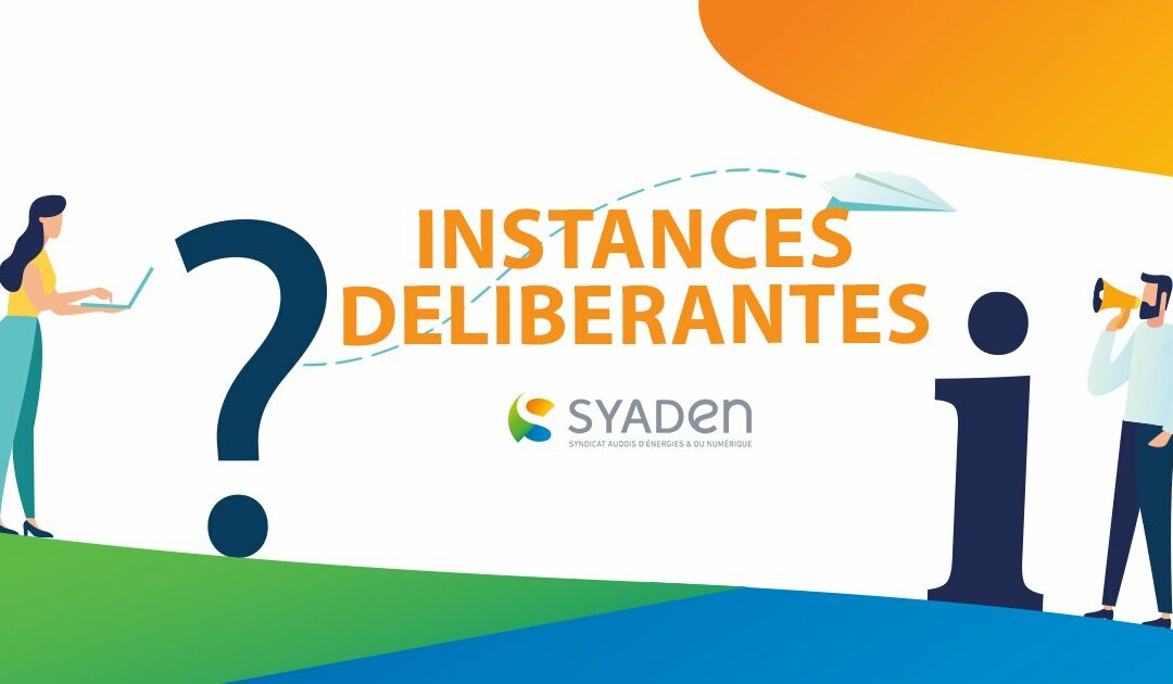 Instances délibérantes