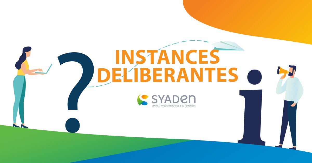 INSTANCES DELIBERANTES