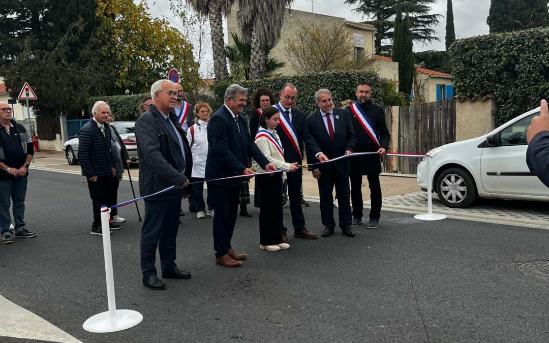 Amélioration du Cadre de Vie et Sécurisation des Réseaux Electrique
