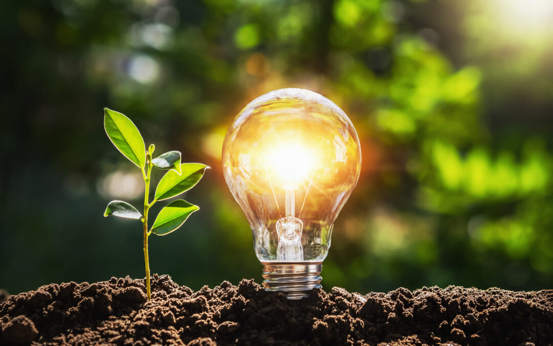 RD Webinaire – 16 juin de 14h30 : Allier transition énergétique et adaptation au changement climatique